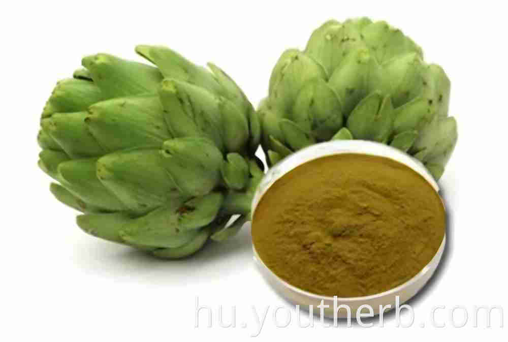 artichoke extract 2.5% cynarin